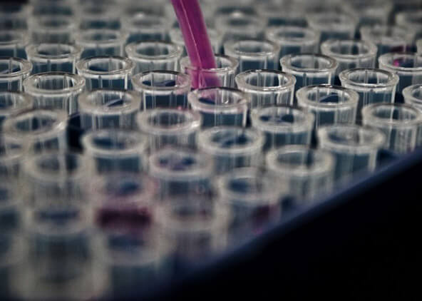 PFAS Assessment & Remediation