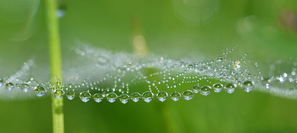 Supply Chain Strategies – Improving Your Company’s ESG with CleanChain