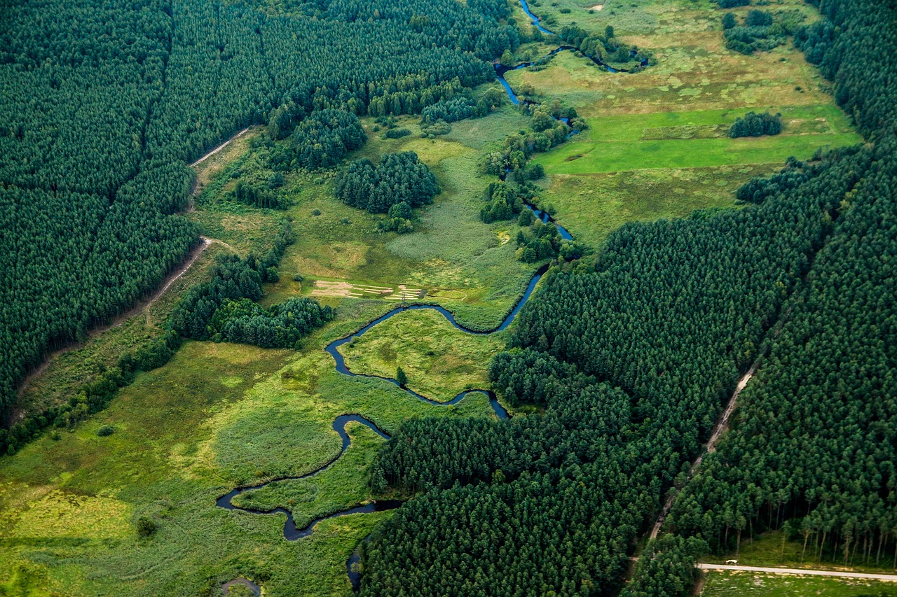 Companies with the Greenest Supply Chains thumbnail
