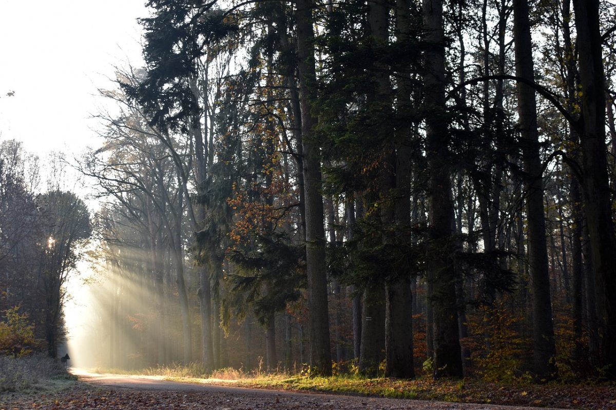 Navigating the Shadows: Addressing Challenges Within Your Supply Chain