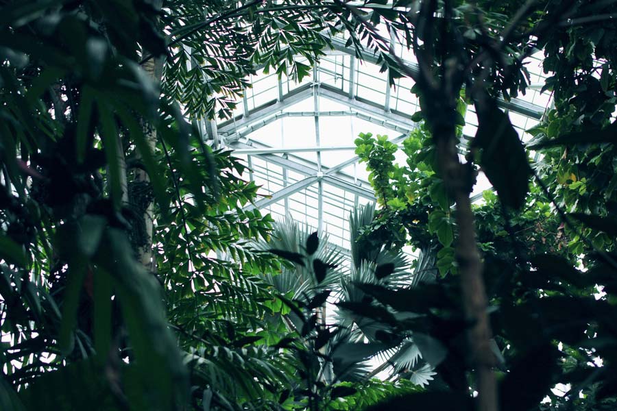 Private Equity Professionals Prioritize Value Creation in ESG Strategies