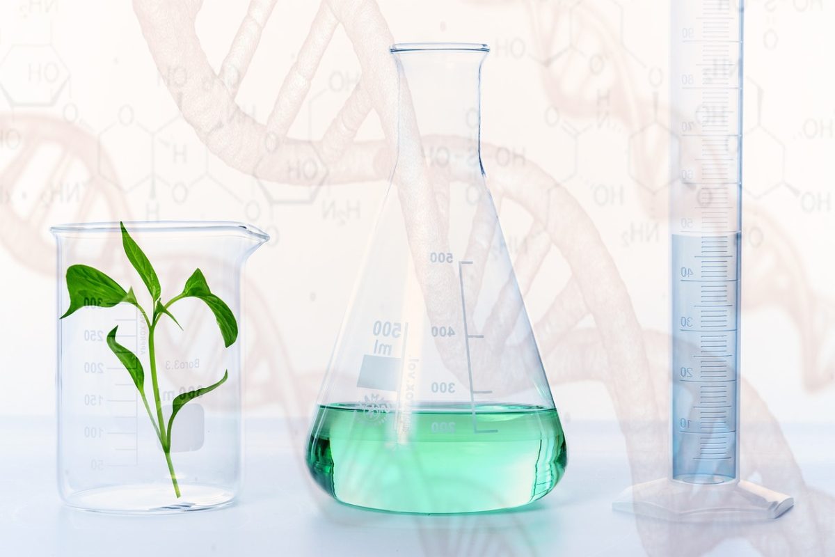 Adopt Safer Alternatives: Embrace a Greener, Healthier Future